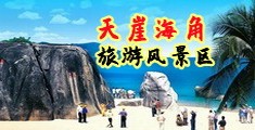 杳看日韩小姐操逼视频海南三亚-天崖海角旅游风景区