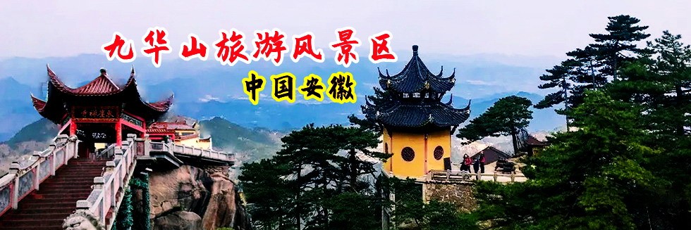 嘬鸡巴视频