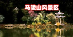 啪啪网页面